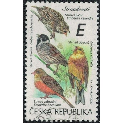 République Tchèque 2020 Oblitéré Used Oiseaux Passereaux Emberizidés Y&t Cz 954 Su