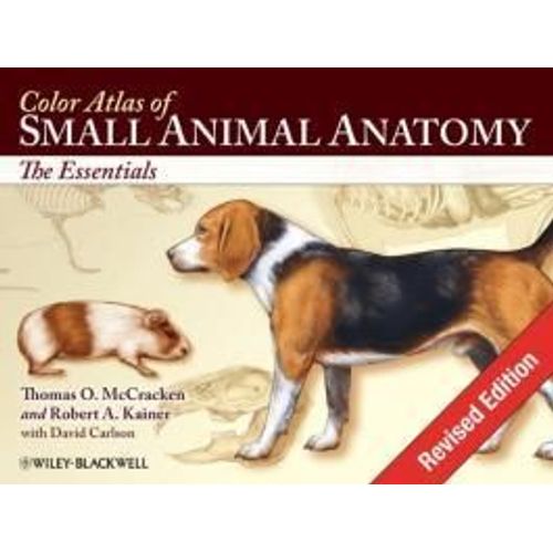 Color Atlas Of Small Animal Anatomy