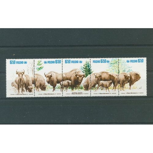 Pologne - Animaux De La Foret Le Bison - 1981.