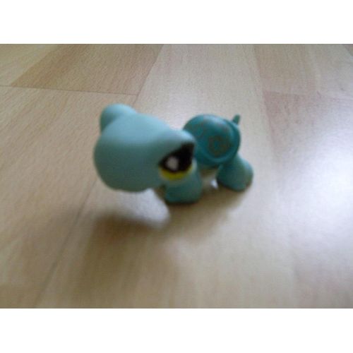 Petshop Tortue Bleue, Yeux Jaune