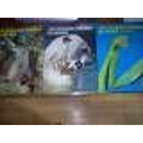 Lot De 23 Volumes De La Collection Les Grandes Énigmes Du Monde Animal - Collection Présentée Par Albert Demazière -  Editions Originales Parues Entre 1973 Et 1975