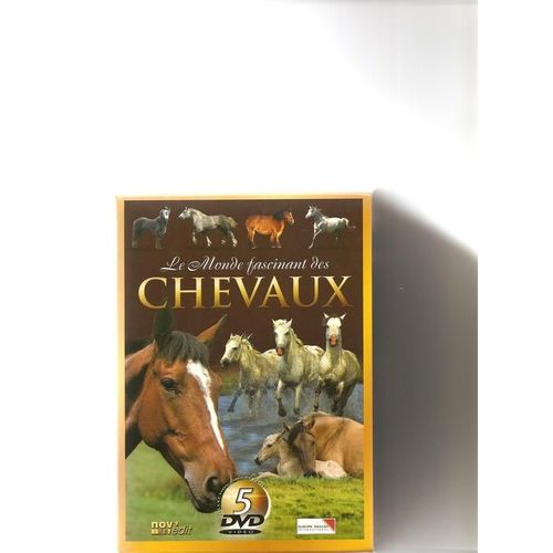 Le Monde Fascinant Des Chevaux