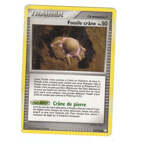 Fossile Crâne 50pv 117/123 Diamant Et Perle Tresors Mystérieux