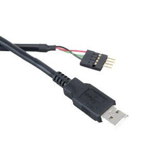 Akasa EXUSBIE-40 - Câble USB - USB (M) - USB 2.0 - 40 cm - noir