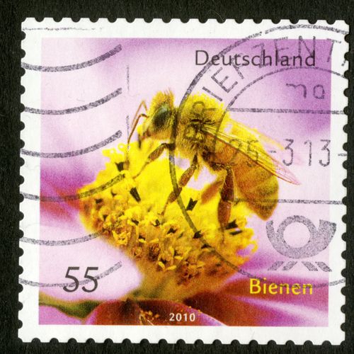 Timbre Oblitéré Deutschland, Bienen, 2010, 55