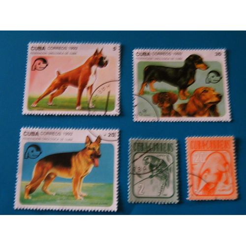 5 Timbres Oblitérés De Cuba  (Chiens & Perroquet... )