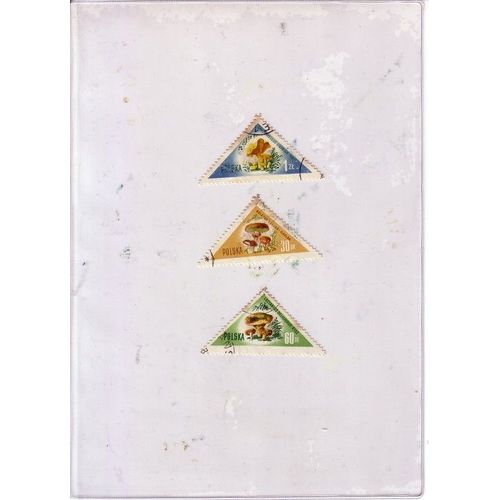 Pologne , Lot De 3 Timbres , Thème Champignons , Des Années 60