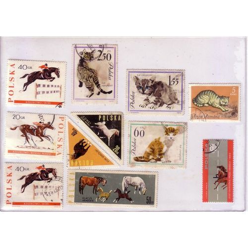 Pologne , Lot De 11 Timbres , Thème Chats Et Chiens , Années 60