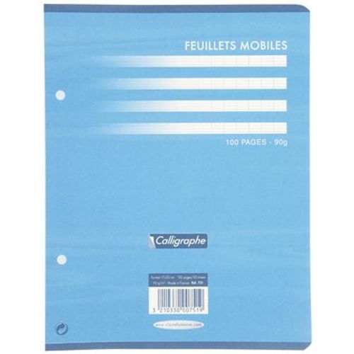 Feuille Mobile Blanche 17x22 Seyes 90g - Sachet De 50