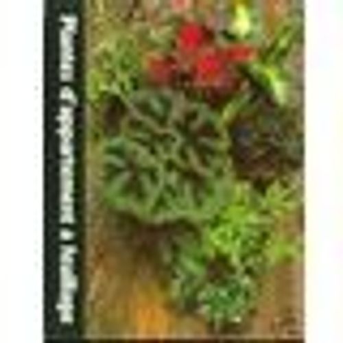 Plantes D'appartement À Feuillage
