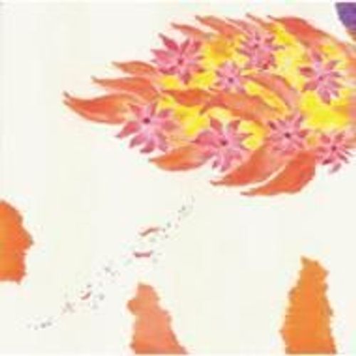 Natsu No Kakera