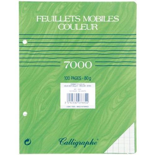 Feuille Mobile Vert 17x22 Seyes 80g - Sachet De 50