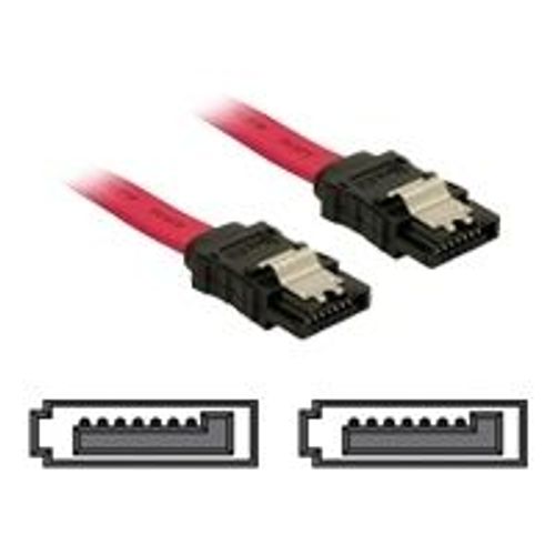 Delock - Câble SATA - Serial ATA 150/300 - SATA (F) pour SATA (F) - 50 cm - verrouillé, connecteur droite - rouge