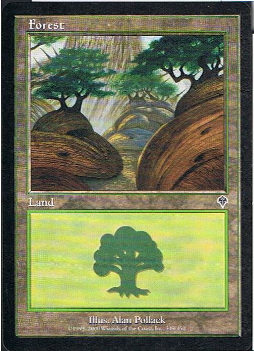 Forest 349 ( Foret 349 ) - Magic Mtg - Invasion Vo 349 - C