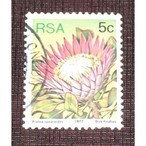 Theme Fleurs - Timbre Oblitéré De Afrique Du Sud (Ref : Tfl-38)