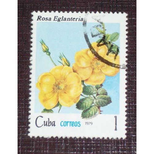 Theme Fleurs - Timbre Oblitéré De Cuba (Ref : Tfl-07)