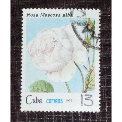 Theme Fleurs - Timbre Oblitéré De Cuba (Ref : Tfl-08)