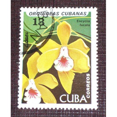 Theme Fleurs - Timbre Oblitéré De Cuba (Ref : Tfl-14)
