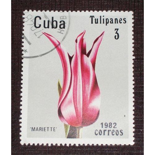 Theme Fleurs - Timbre Oblitéré De Cuba (Ref : Tfl-19)