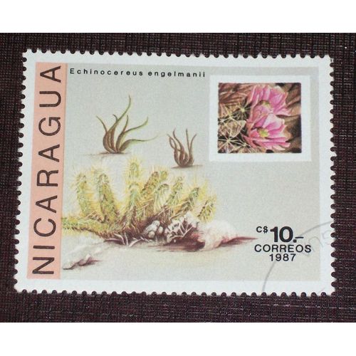 Theme Fleurs - Timbre Oblitéré Du Nicaragua (Ref : Tfl-33)