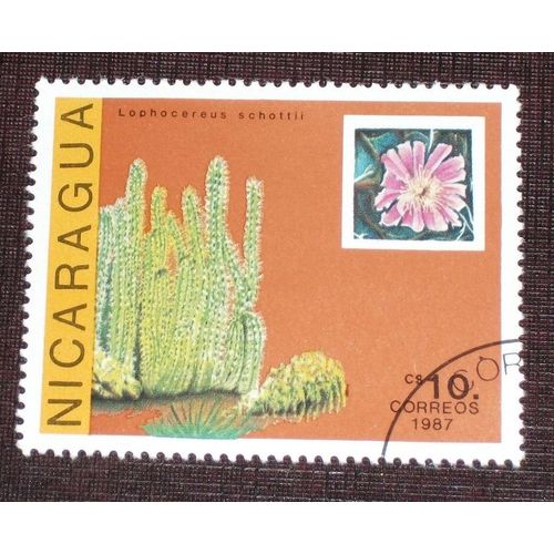 Theme Fleurs - Timbre Oblitéré Du Nicaragua (Ref : Tfl-34)