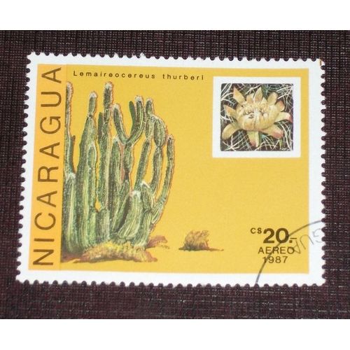Theme Fleurs - Timbre Oblitéré Du Nicaragua (Ref : Tfl-35)