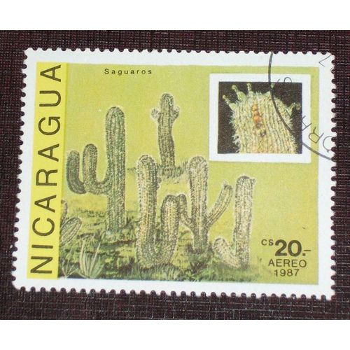 Theme Fleurs - Timbre Oblitéré Du Nicaragua (Ref : Tfl-36)