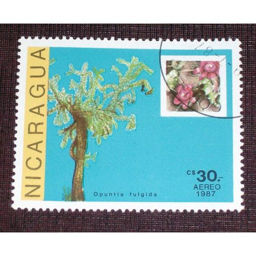 Theme Fleurs - Timbre Oblitéré Du Nicaragua (Ref : Tfl-37)