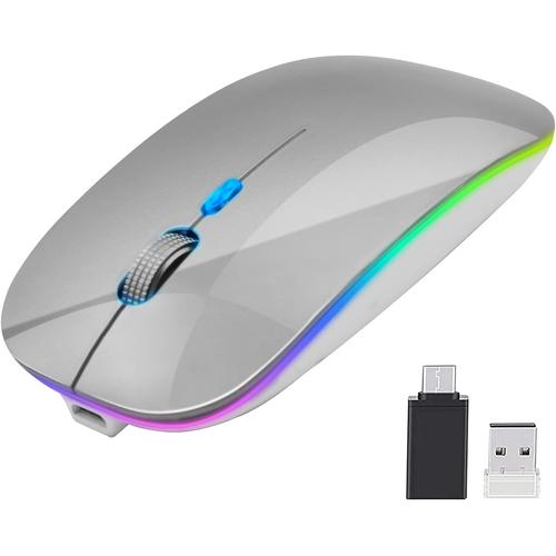 Souris sans fil rechargeable, silencieuse, souris sans fil stable 2,4 G avec lumière LED, port de type C portable pour Windows, Mac, ordinateur portable, ordinateur de bureau, MacBook argent