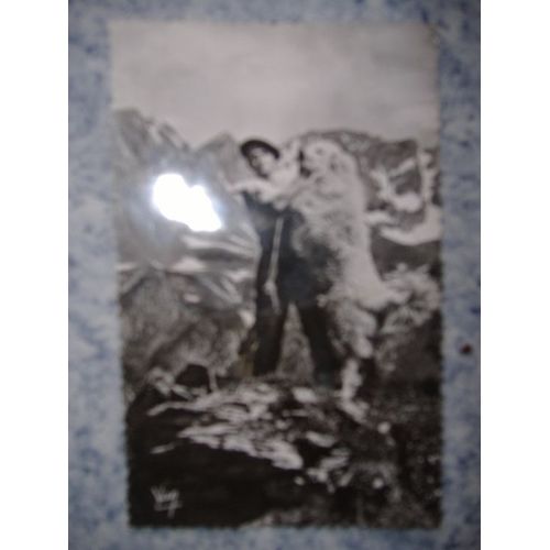 Carte Moderne (Environ 1960) : Chien Des Pyrénées Avec Son Berger