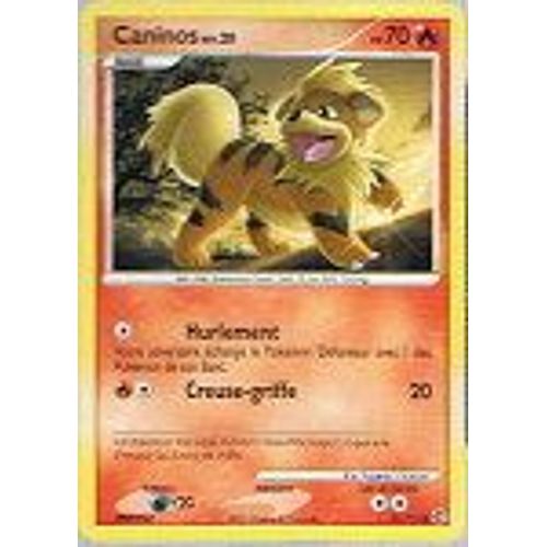 Caninos - Pokemon - Merveilles Secrètes 89 - C