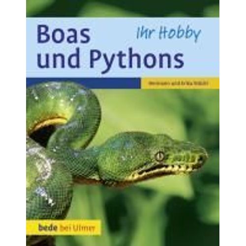 Boas Und Pythons