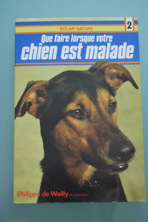 Que faire lorsque votre chien est malade