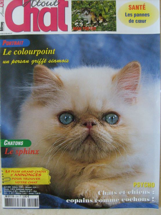 Achat Atout Chat Persan Colourpoint Pas Cher Ou D Occasion Rakuten