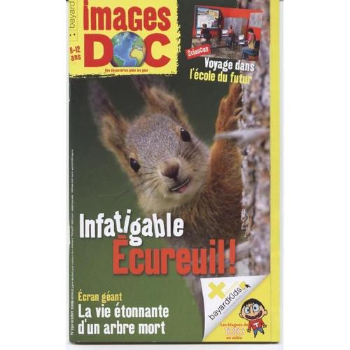 Images Doc  N° 250 : Infatiguable Ecureuil