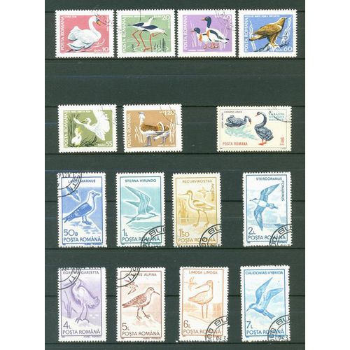 Roumanie - Oiseaux.