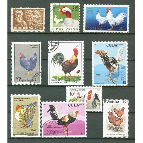 Animaux De La Ferme - Divers Continents.