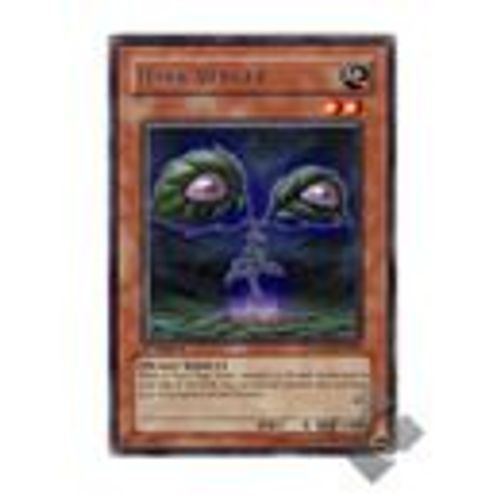 Fruitier Des Tenebres 1ere Edition Rgbt-Fr004 Carte Rare
