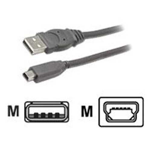 Belkin PRO Series - Câble USB - USB (M) pour mini USB type B (M) - USB 2.0 - 91 cm - moulé - Europe