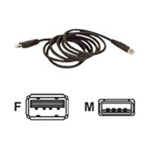 Belkin USB Extension Cable - Rallonge de câble USB - USB (M) pour USB (F) - USB 2.0 - 3 m - moulé