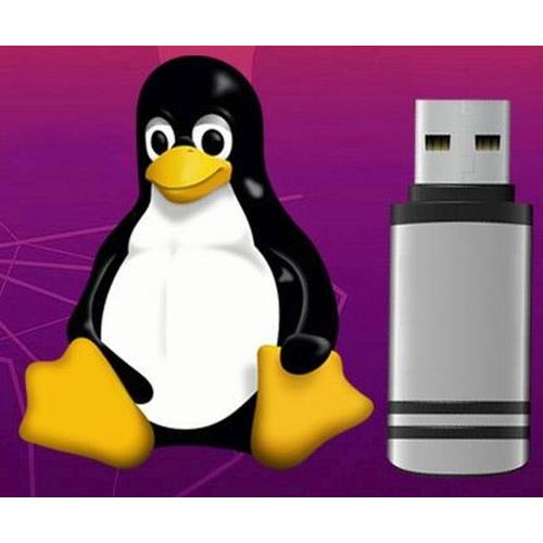 Clé Usb Linux Ubuntu 22.4.4 Version 64bits - Clé Usb Bootable D'installation 64bits (Mars 2024)