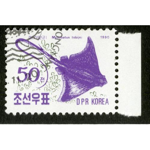 Timbre Oblitéré Dpr Korea, Myliobatus Tobijei, 1990, 50