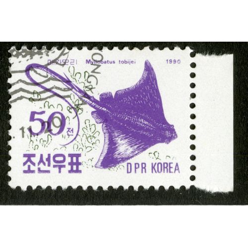 Timbre Oblitéré Dpr Korea, Myliobatus Tobijei, 1990, 50