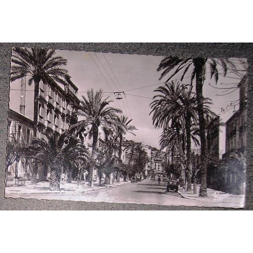 Carte Postale Écrite En 1952-Hyères Les Palmiers Avenue Gambetta