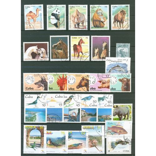 Cuba - Animaux.