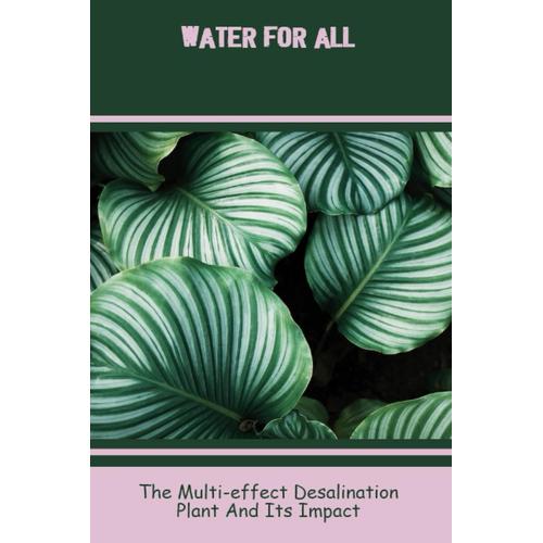 Water For All: The Multi-Effect Desalination Plant And Its Impact