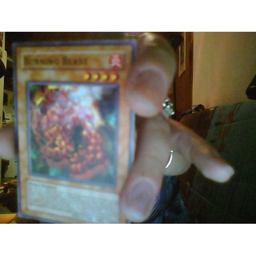 Yu Gi Oh - Burning Beast - Mfc-016 - Commune - Anglais
