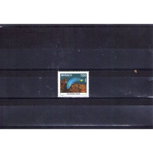1988- Nr 1620 - Thalassoma Lunare