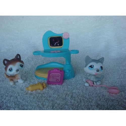 Kit Vétérinaire Avec 2 Petshops