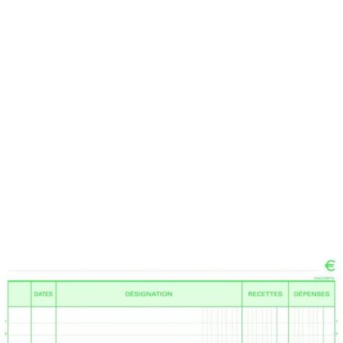 Manifold Exacompta 50 Feuillets Recettes Dépenses 29,7x21cm Dupli